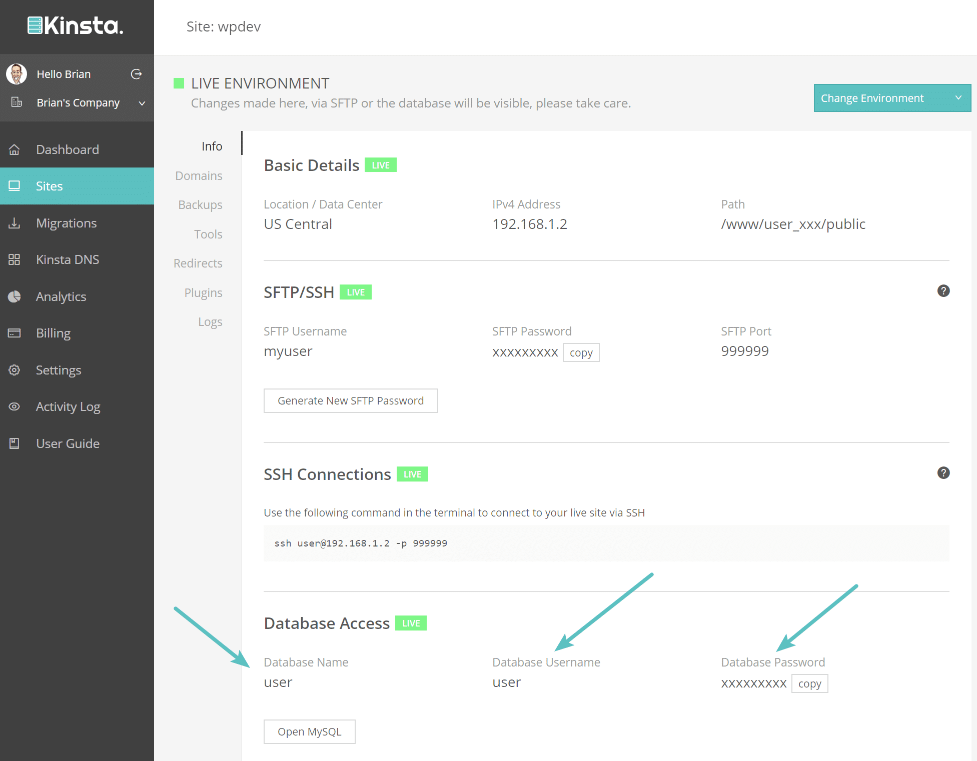Kinsta Datenbank Anmeldeinformationen