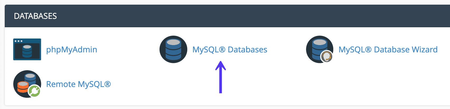 cPanel MySQL Datenbank