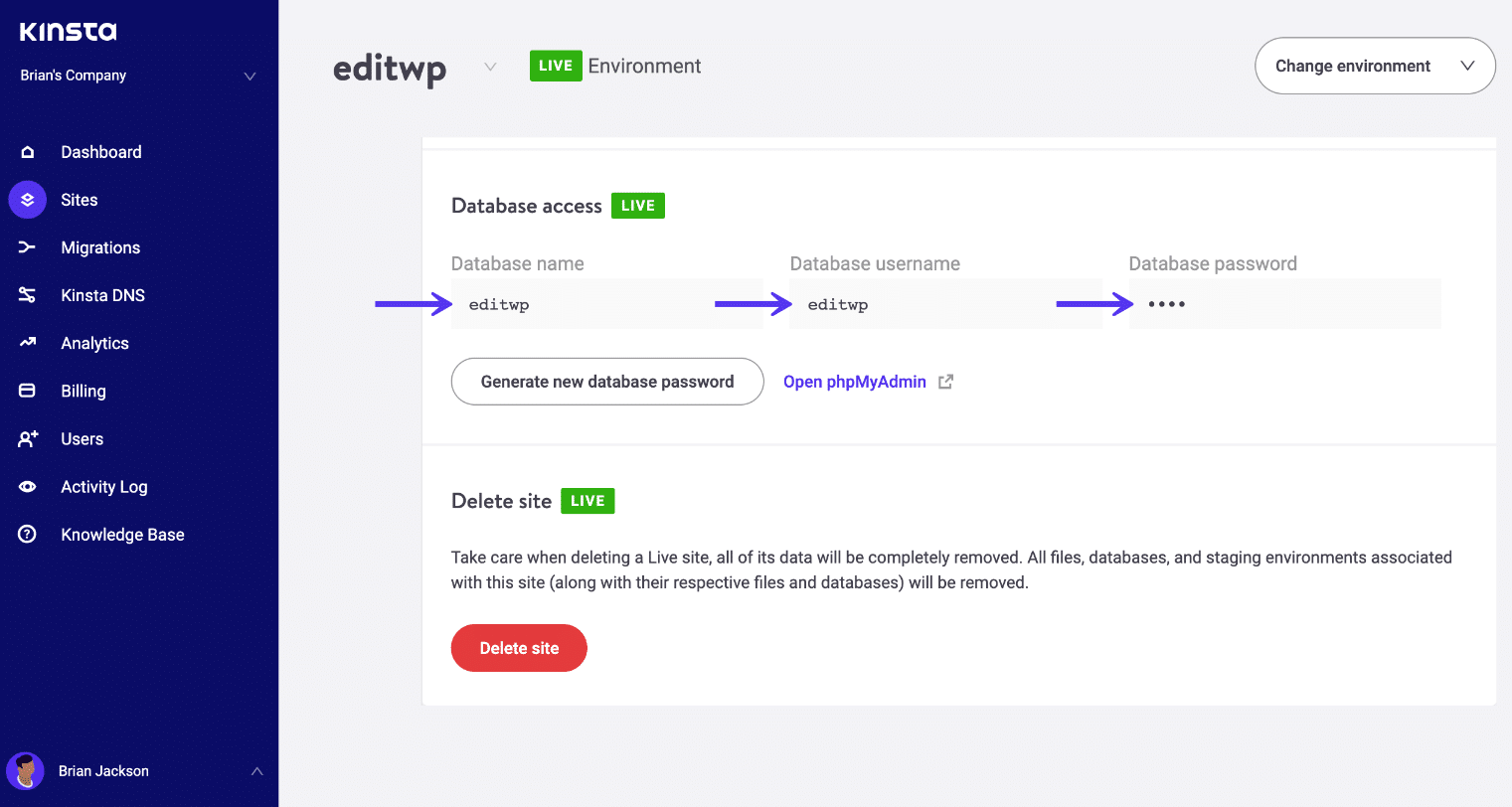 Kinsta Datenbank Anmeldeinformationen
