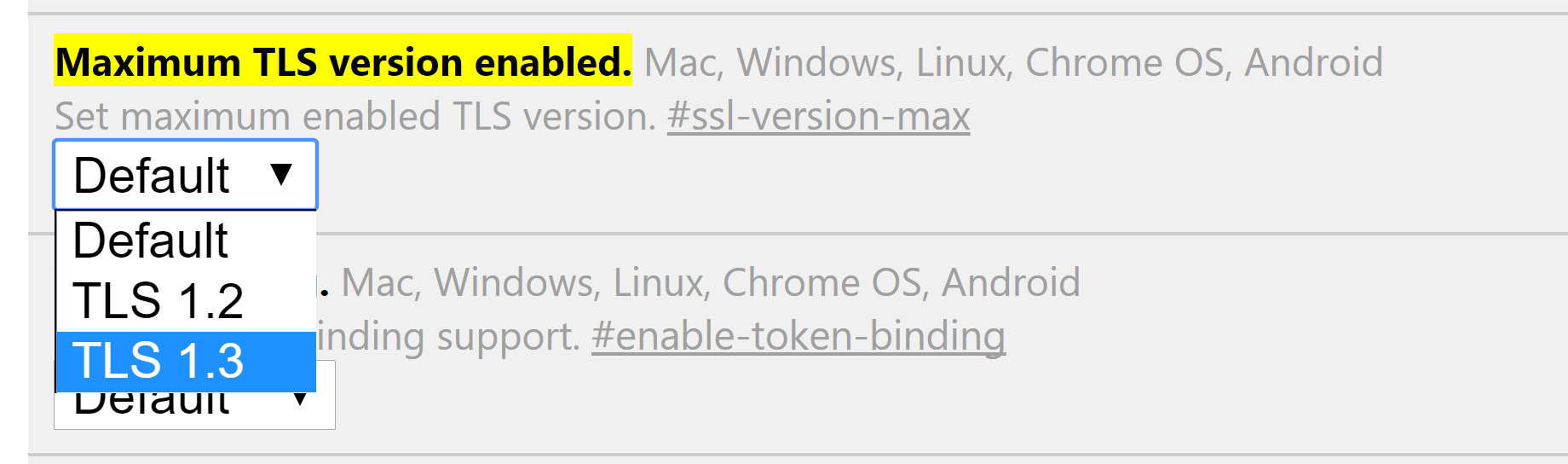 Maximale TLS-Version in Chrome