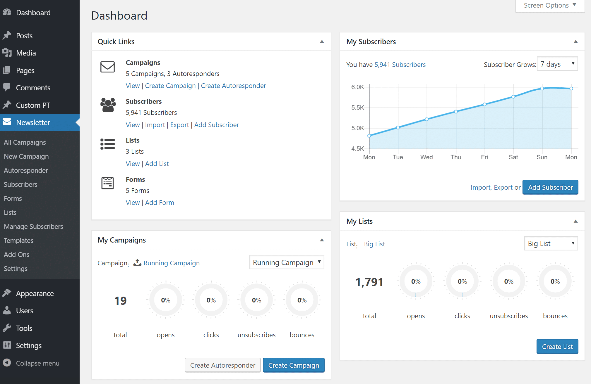 Dashboard des Mailster-Newsletters in WordPress