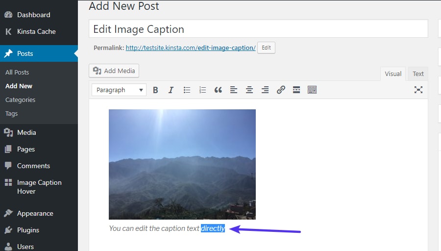 Bearbeiten vorhandener WordPress-Bildunterschriften direkt im WordPress-Editor