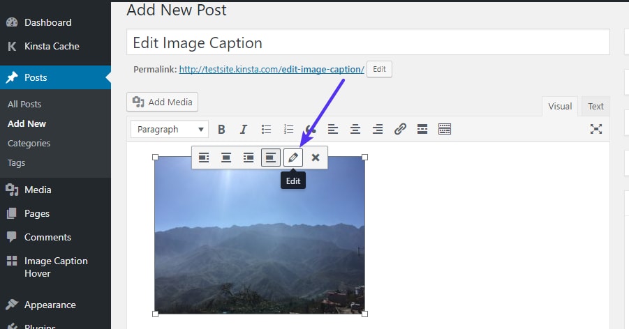 Wie man ein WordPress-Bild bearbeitet