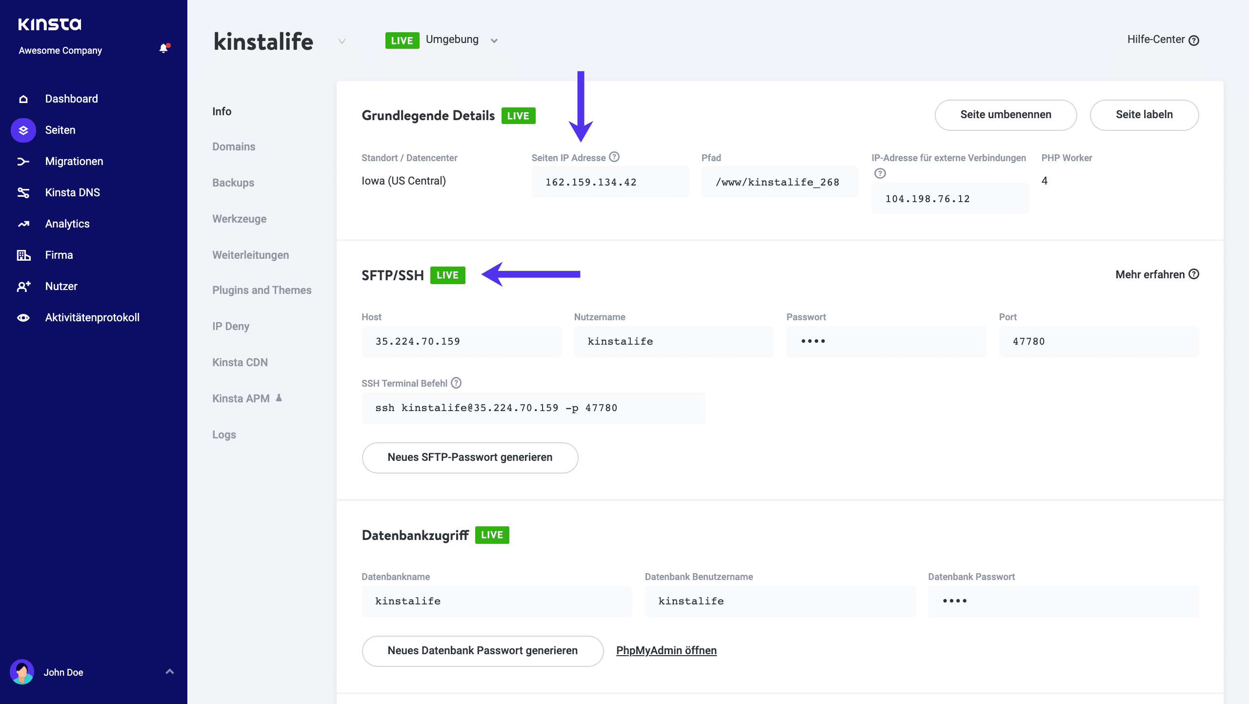 Einzelheiten zum SFTP in MyKinsta.