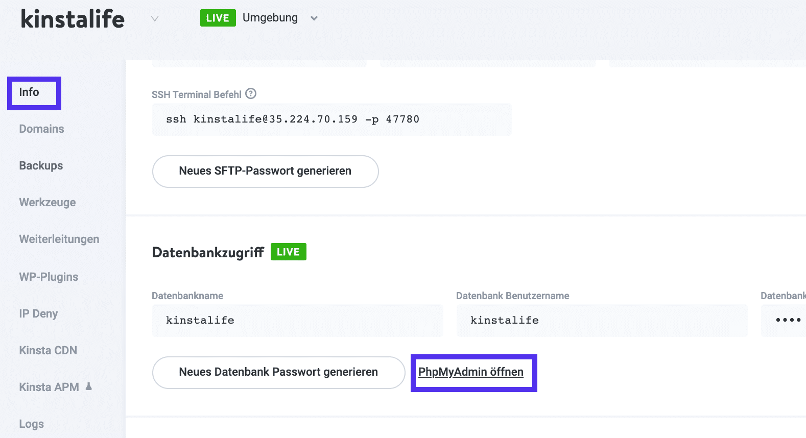 Der phpMyAdmin Link im MyKinsta Dashboard.