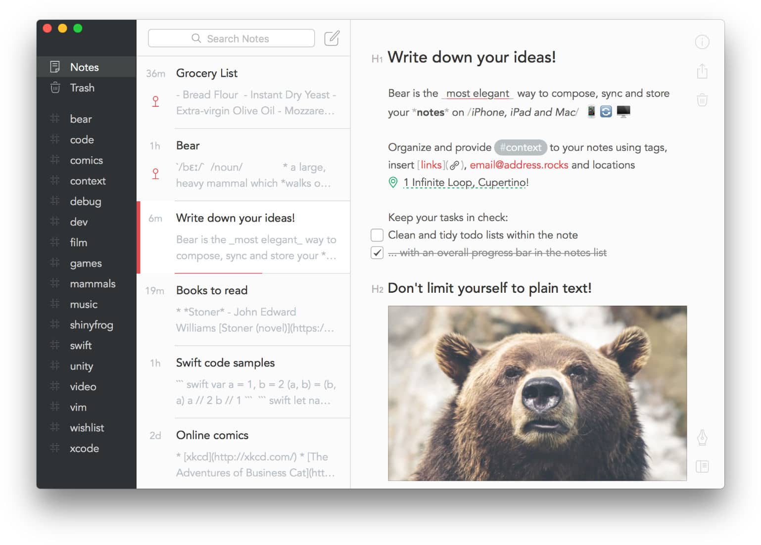 Bear Writer App