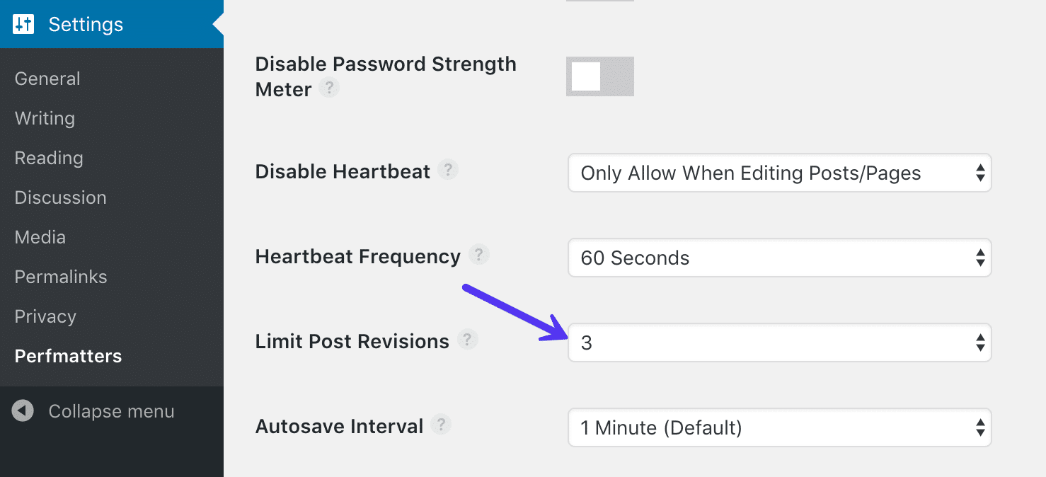 Begrenzung der Beitragsrevisionen mit dem Perfmatters Plug-In