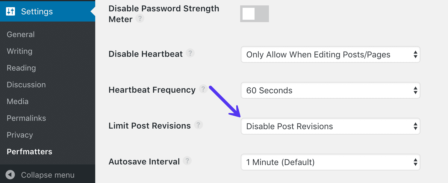 Deaktivierung von Beitragsrevisionen mit dem Perfmatters Plug-In