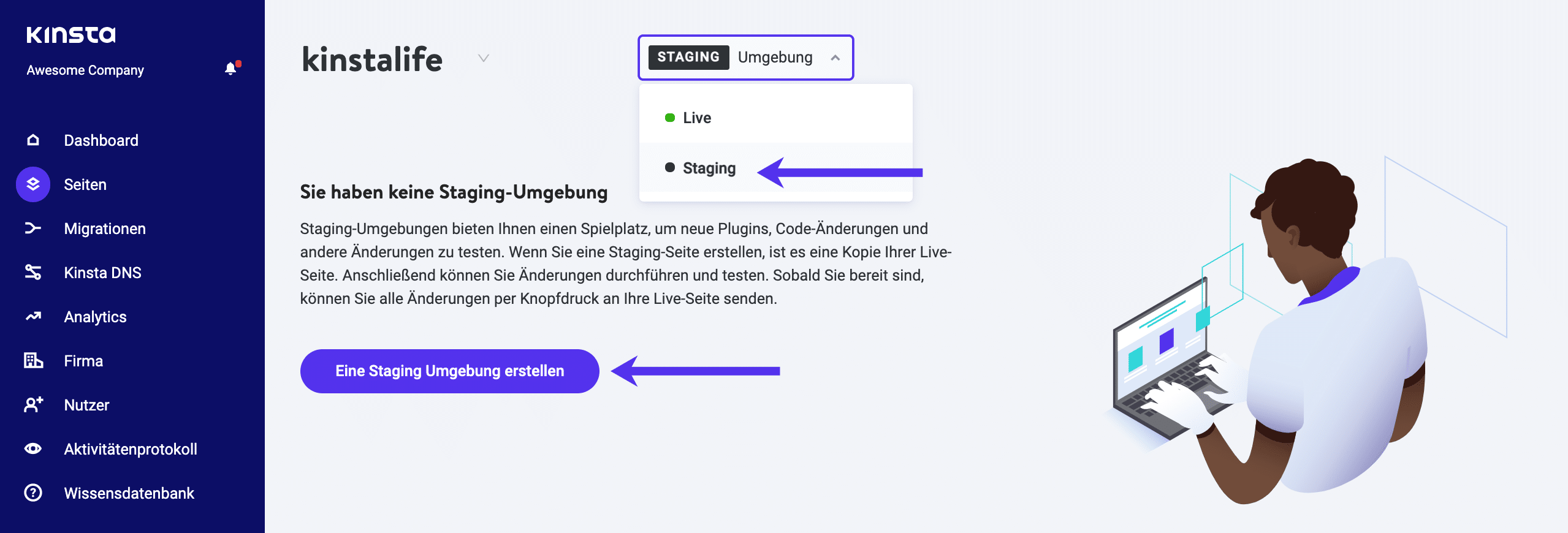 WordPress Staging-Umgebung