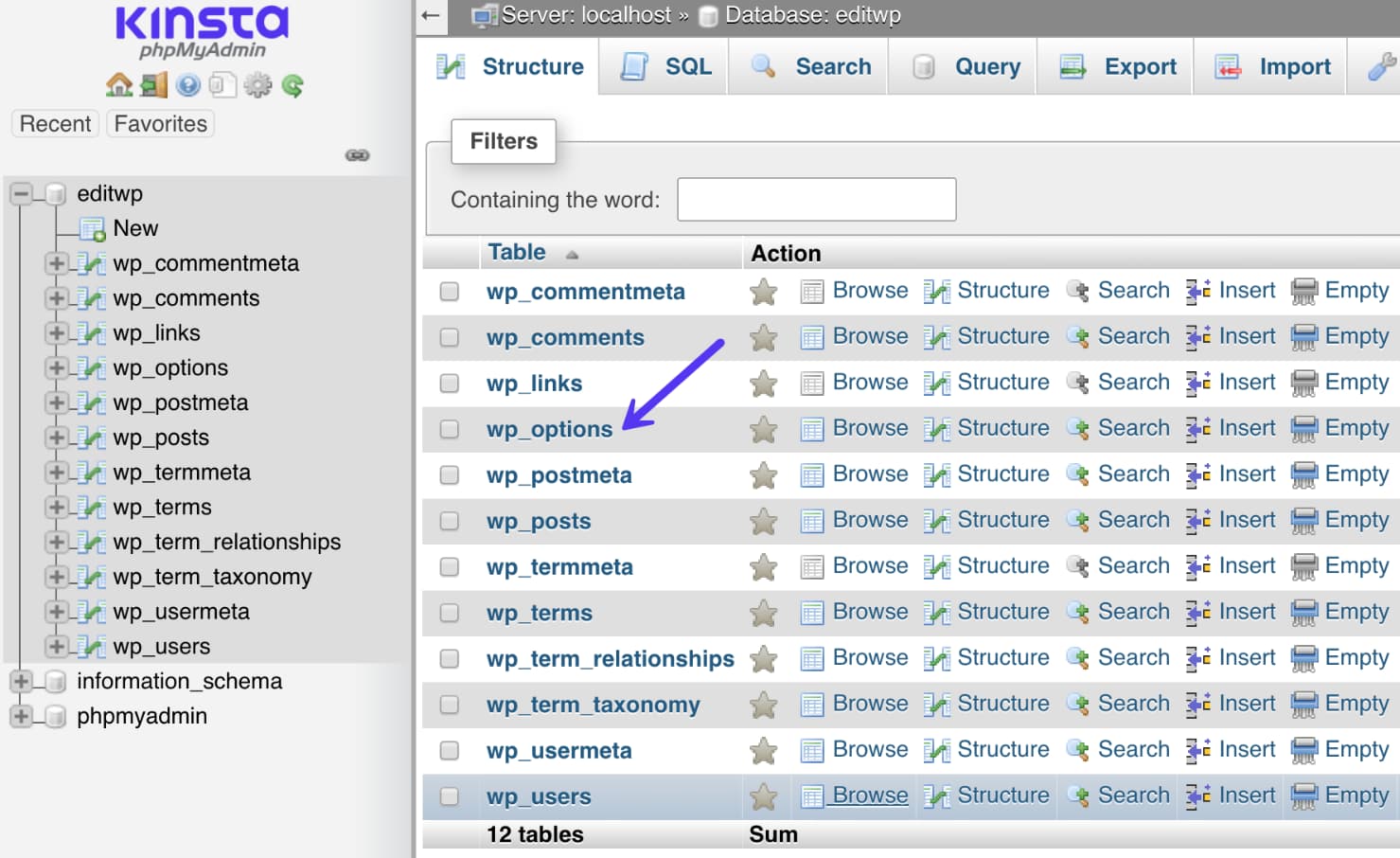 wp_options Tabelle in der WordPress Datenbank