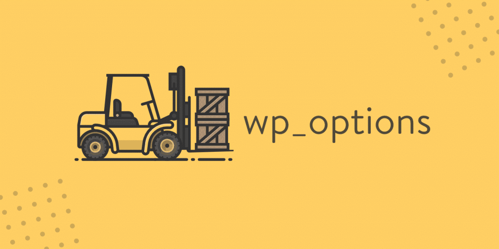 wp_options automatisch geladenen Daten