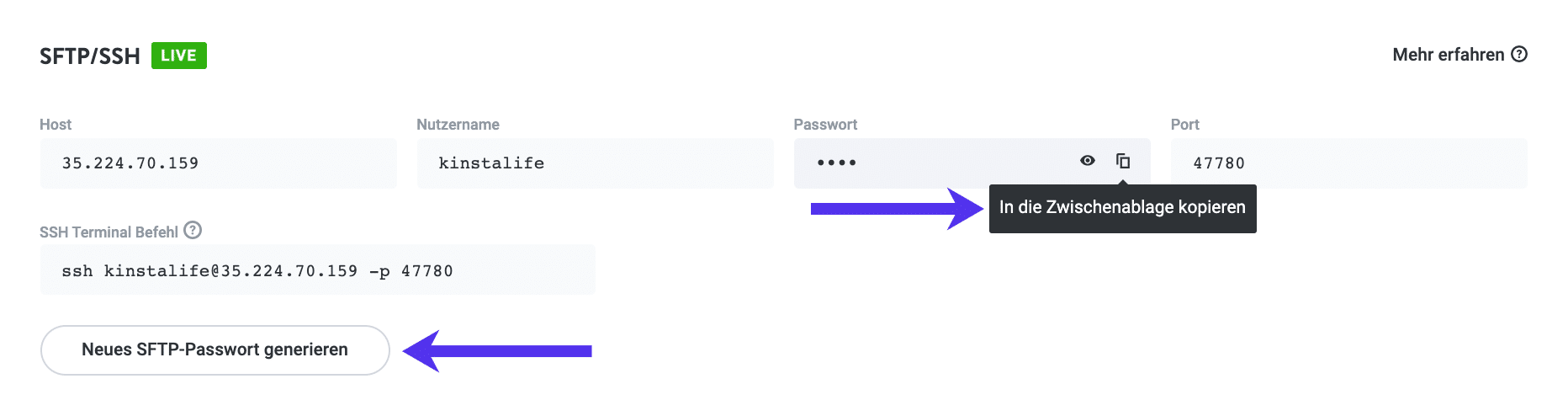 Kopieren in die Zwischenablage und neues SFTP-Passwort.