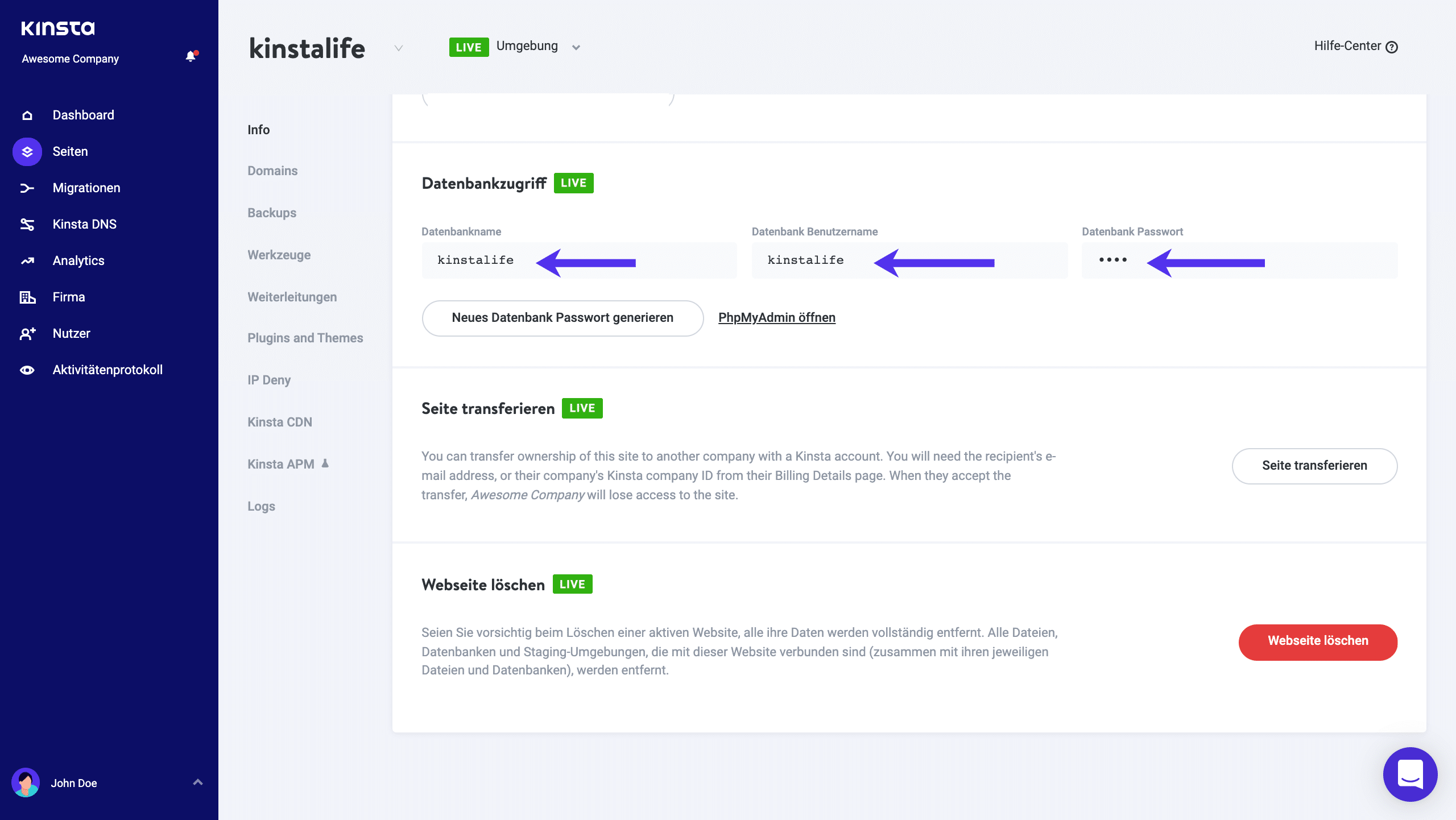 Kinsta Datenbank Anmeldeinformationen