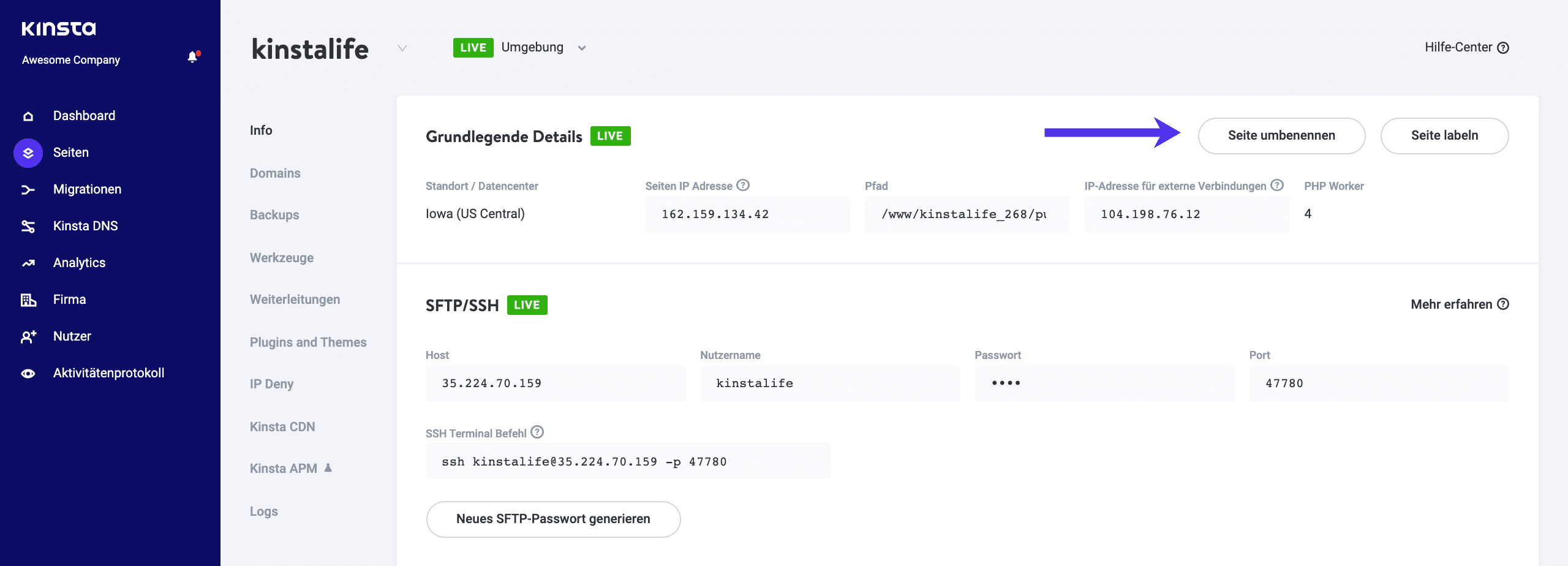 Umbenennung und Beschriftung von Webseiten in MyKinsta.