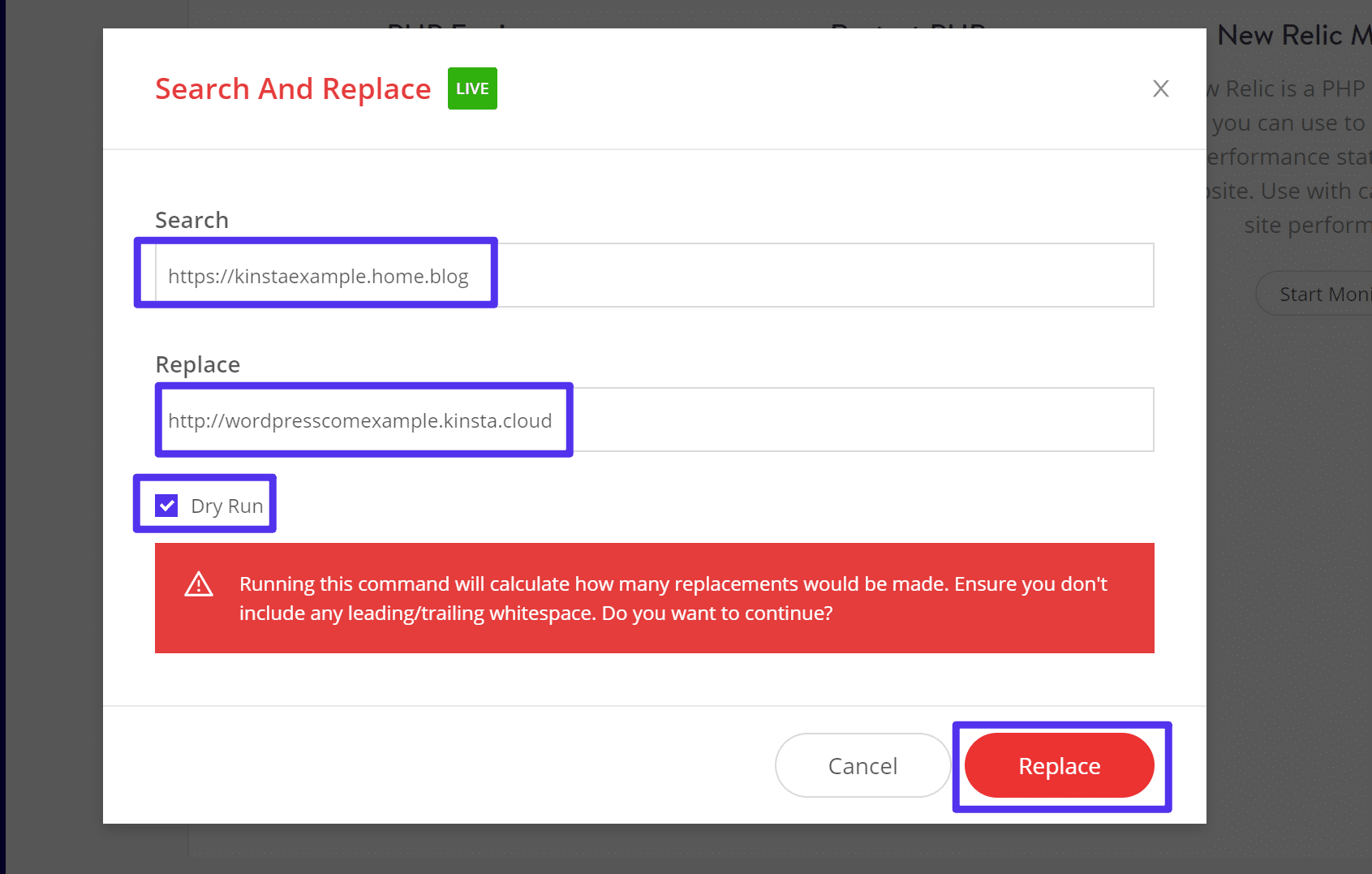 So konfiguriert man das Kinsta Search And Replace Tool