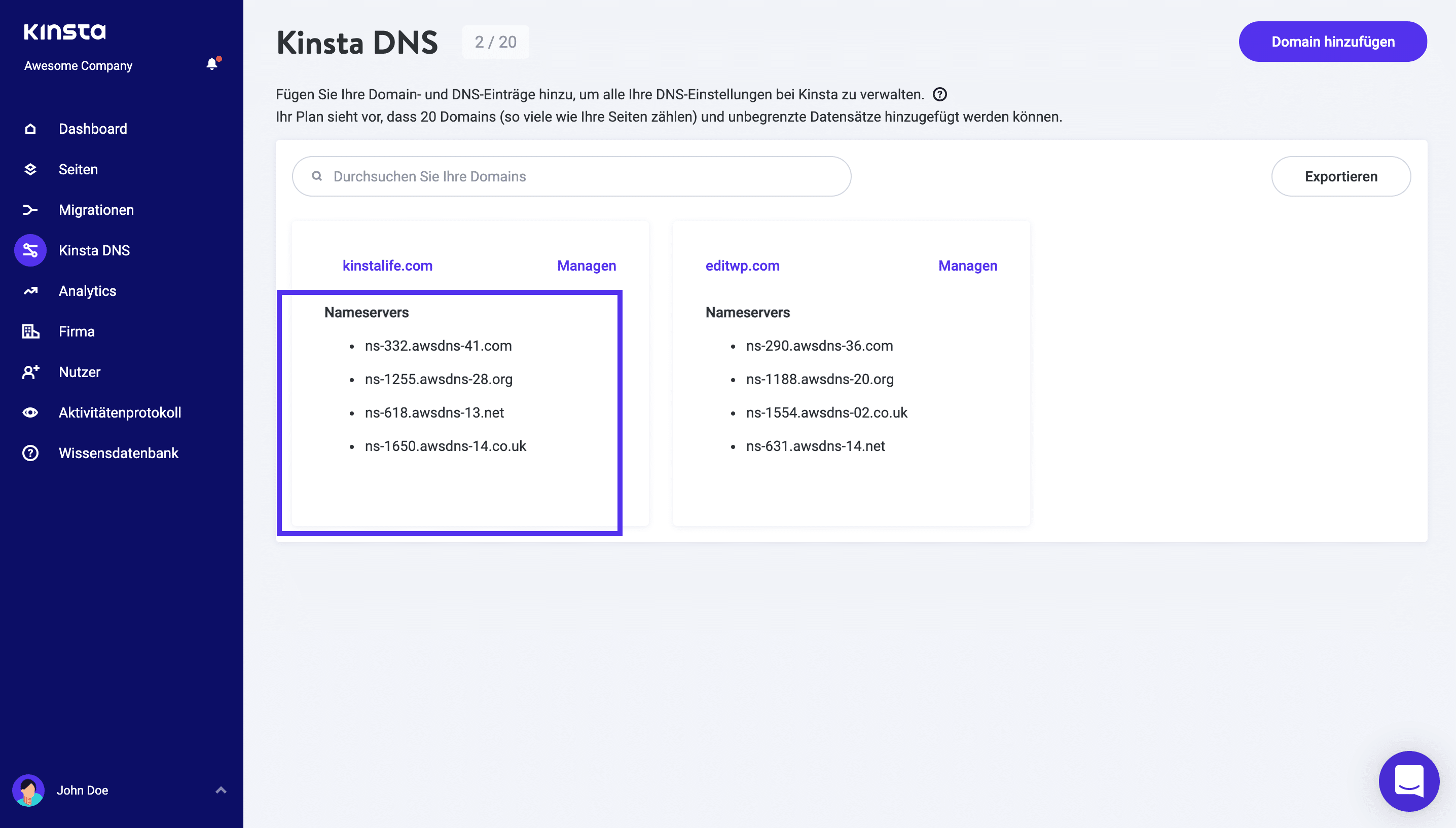 Kinsta DNS Nameserver.