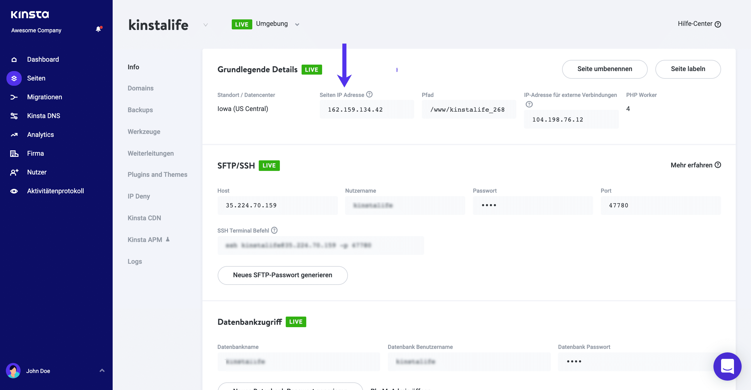 IPv4-Adresse in MyKinsta