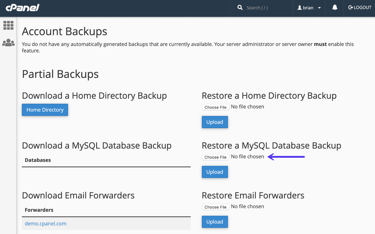 cPanel Wiederherstellung MySQL Datenbanksicherung