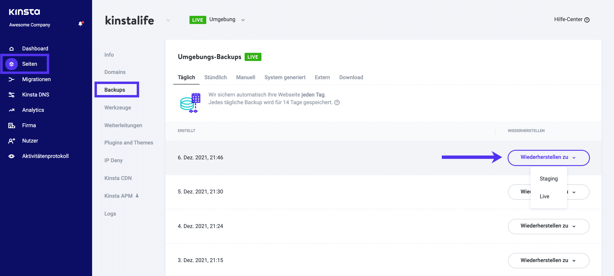 Die Backup-Funktion in MyKinsta