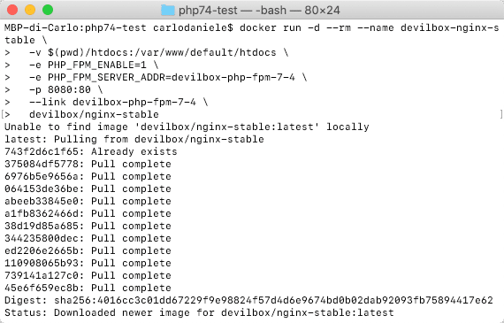 Nginx Docker Image installieren