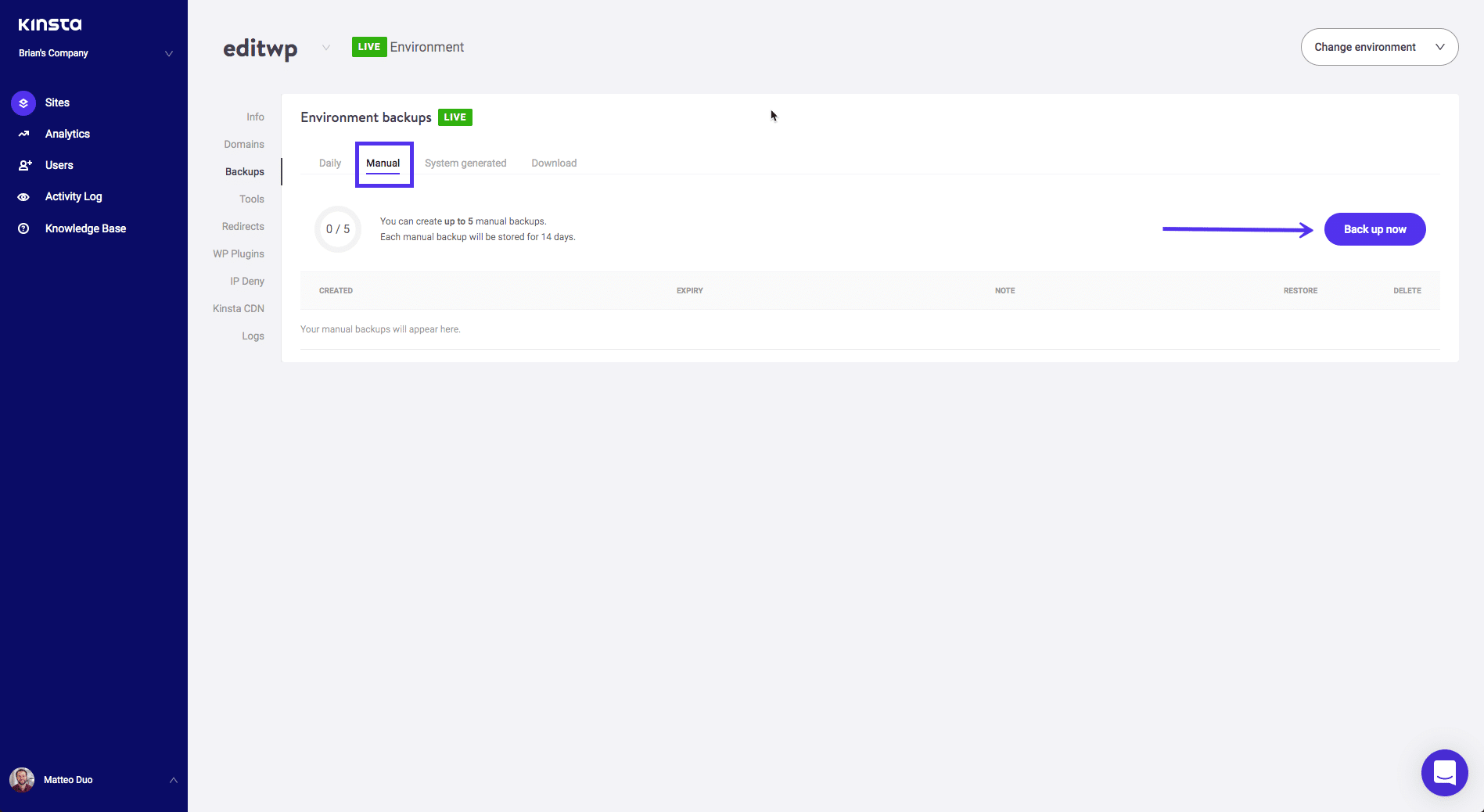 Kinsta manuelle Backups