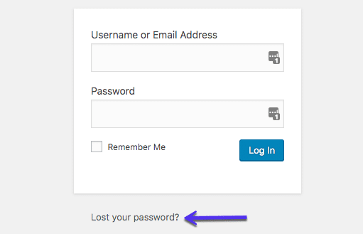 Passwort vergessen Option 