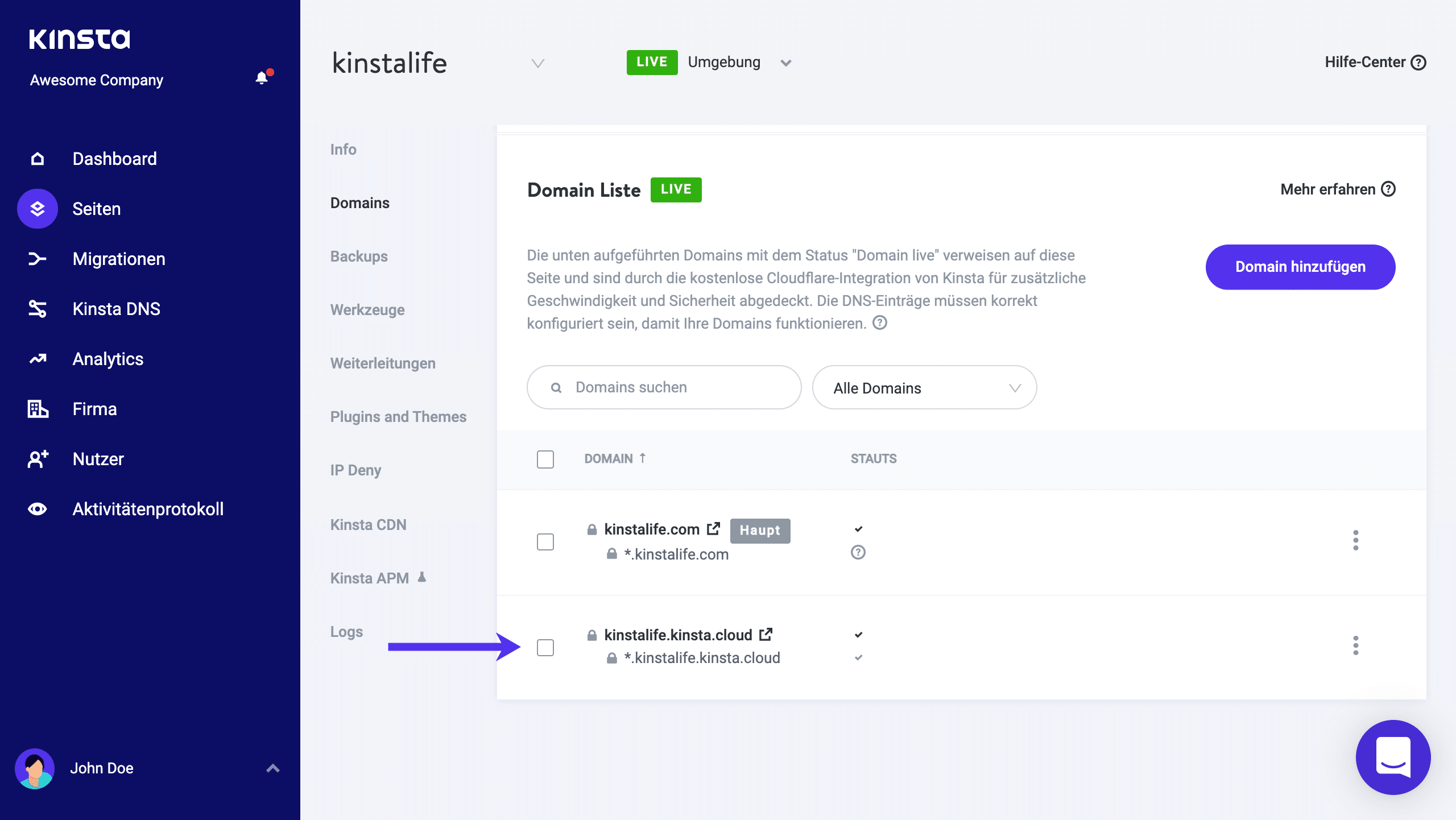 Kinsta temporäre URL