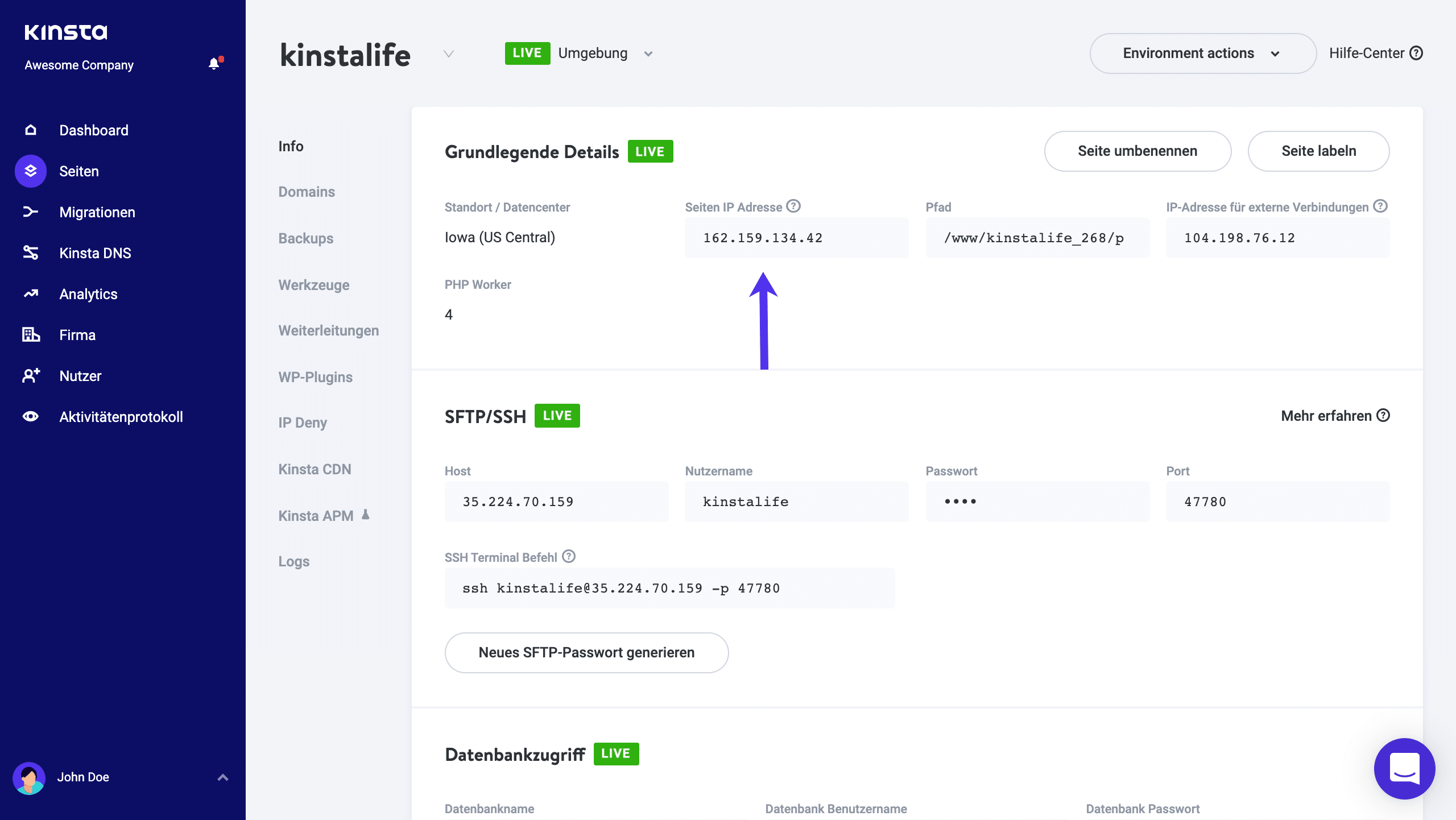 Die IP-Adresse befindet sich auf der Registerkarte „Info" der Website in MyKinsta