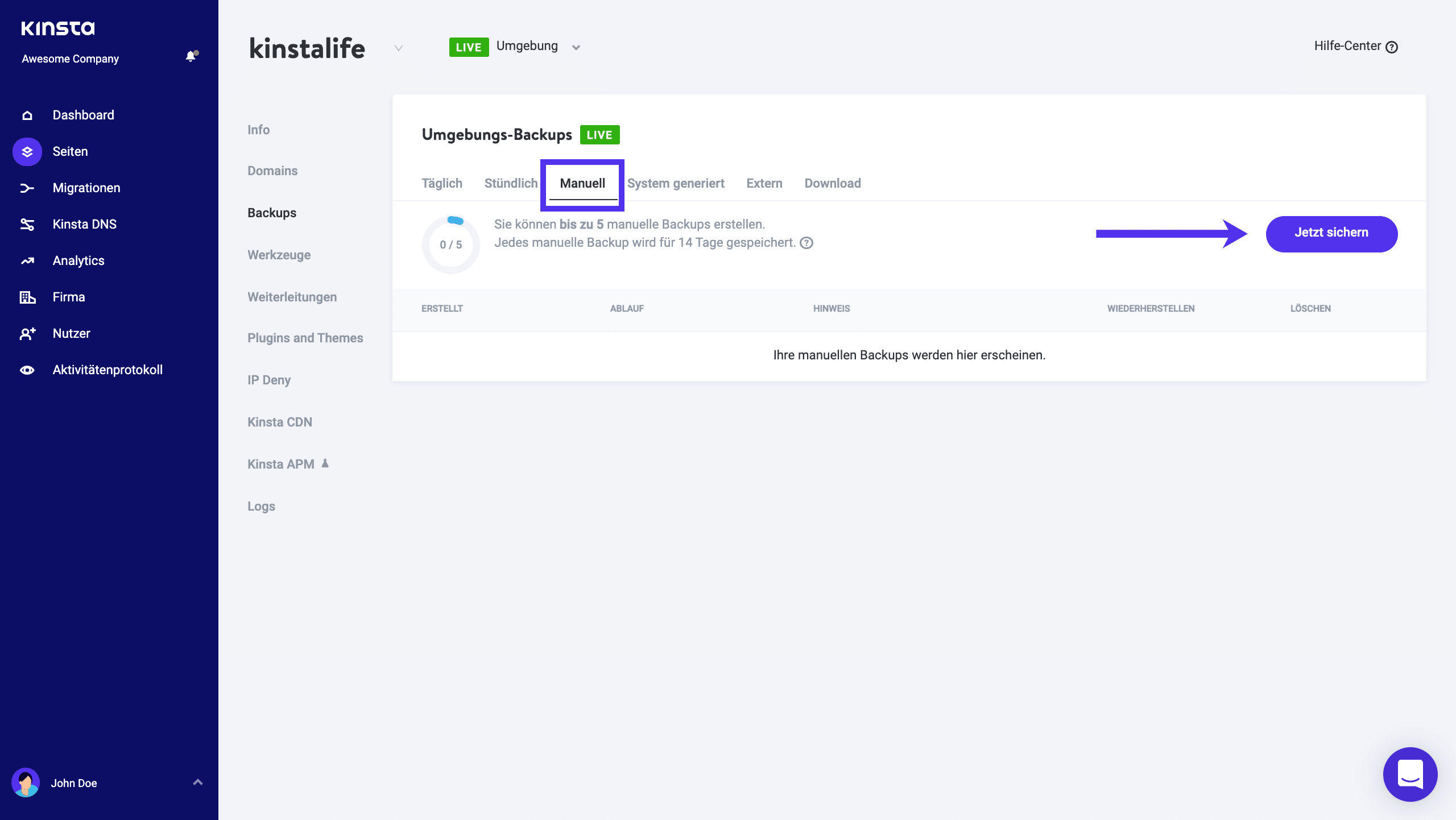 Kinsta manuelle Backups