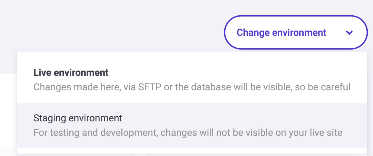 Kinsta Staging