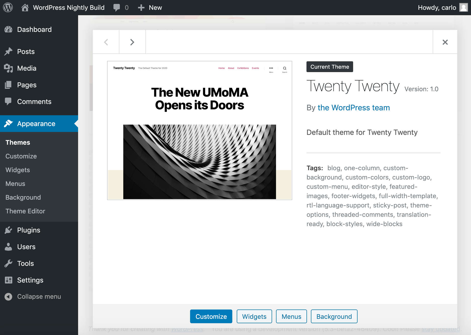 Twenty Twenty WordPress Theme