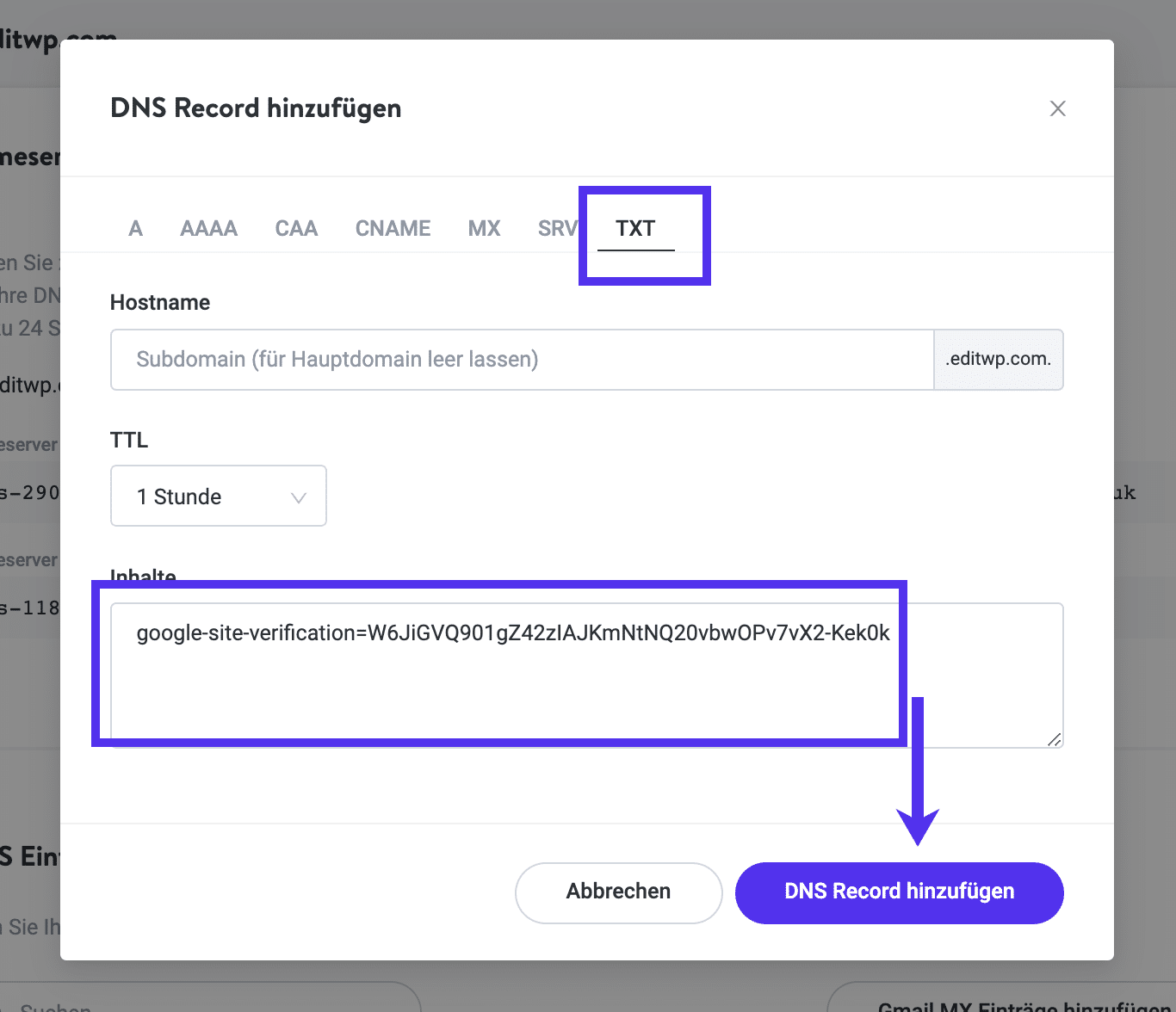 TXT-Datensatz bei Kinsta hinzufügen.