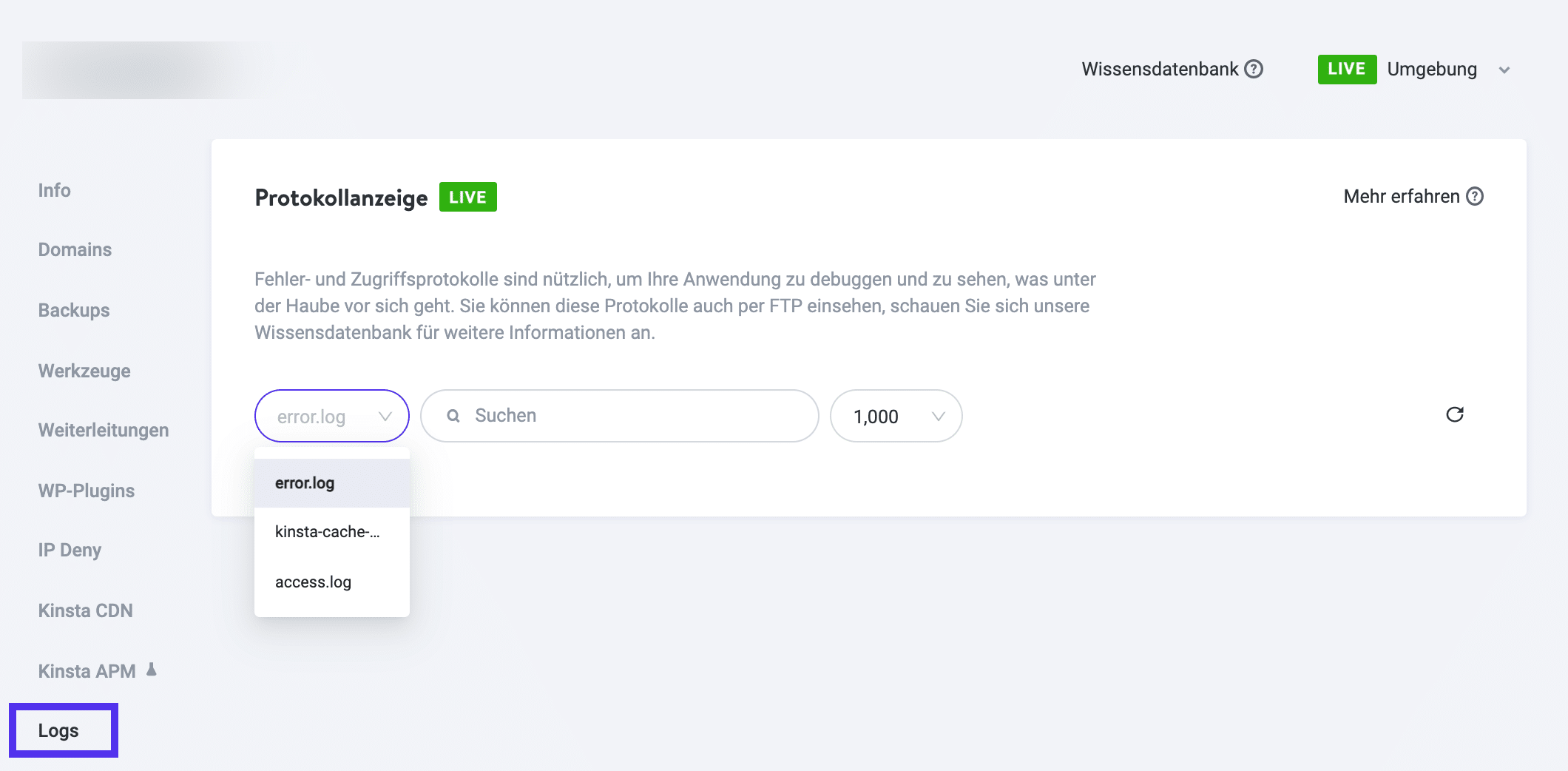 MyKinsta-Konto Fehlerprotokoll-Viewer