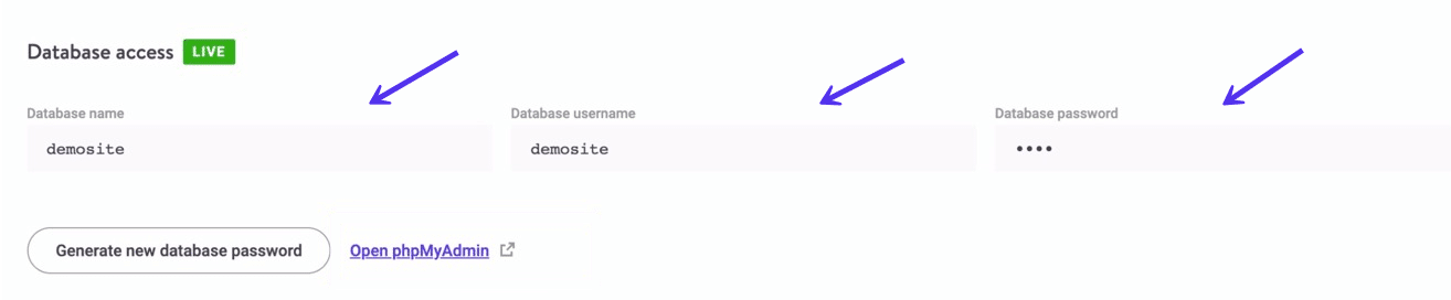 Datenbank-Zugang in MyKinsta