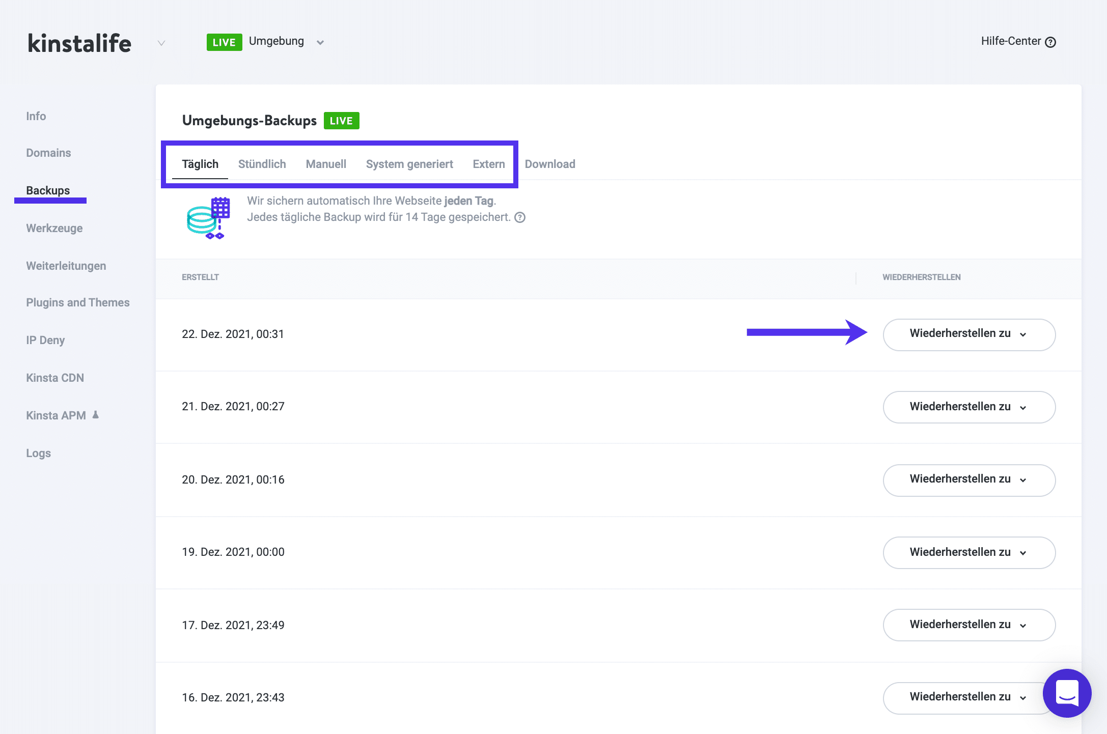 MyKinsta Backups