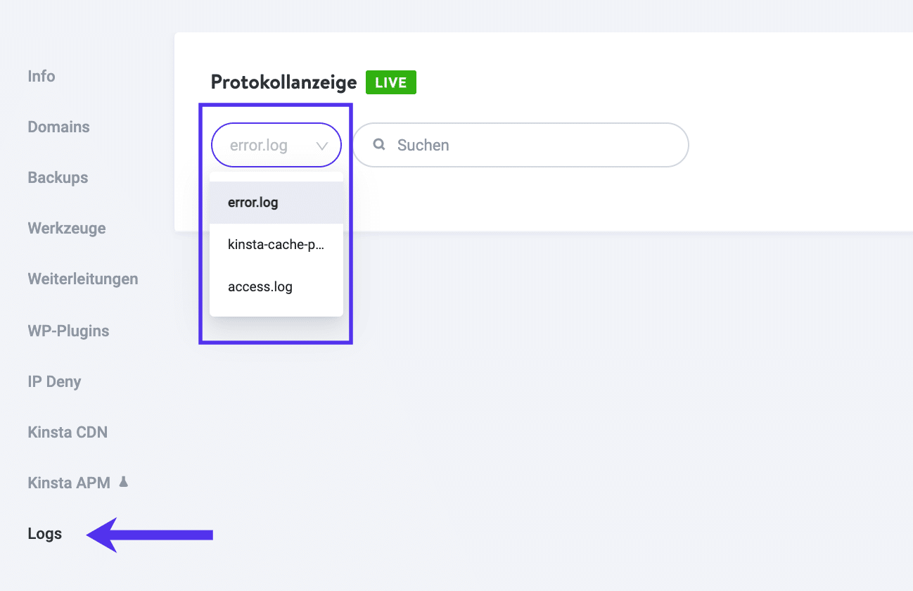 Log-Viewer in MyKinsta