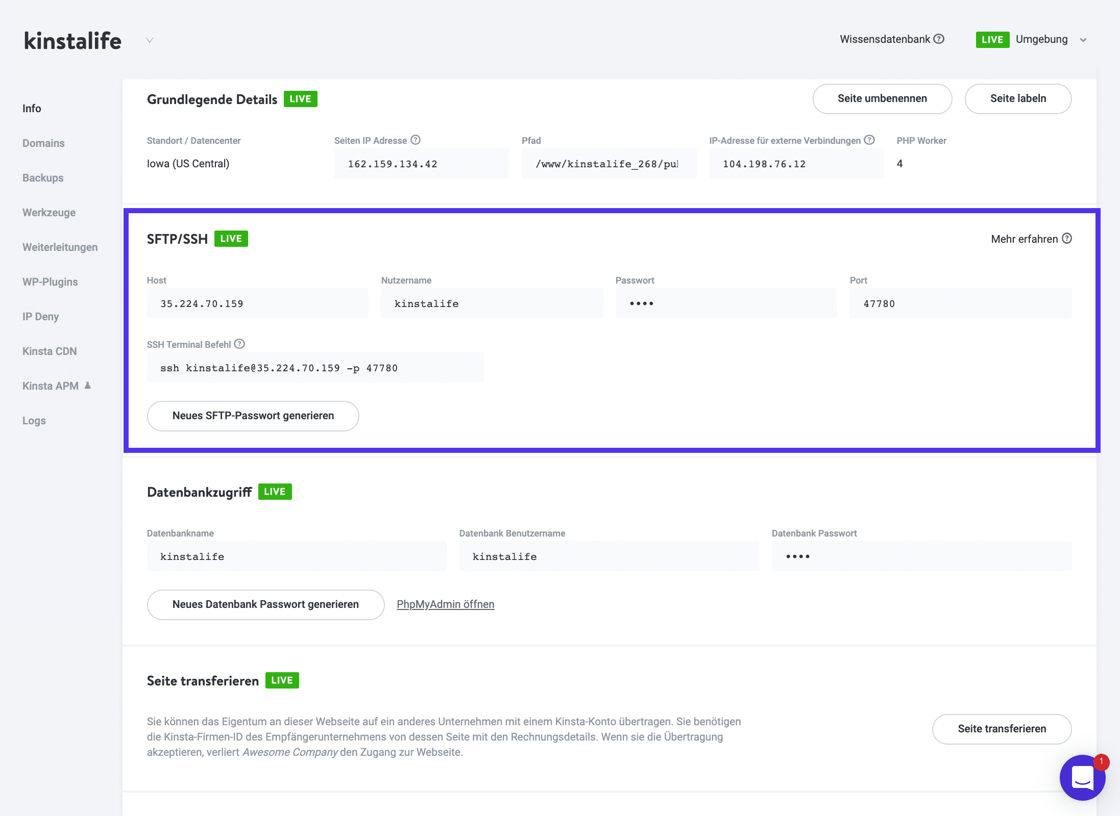 Login Zugangsdaten in MyKinsta