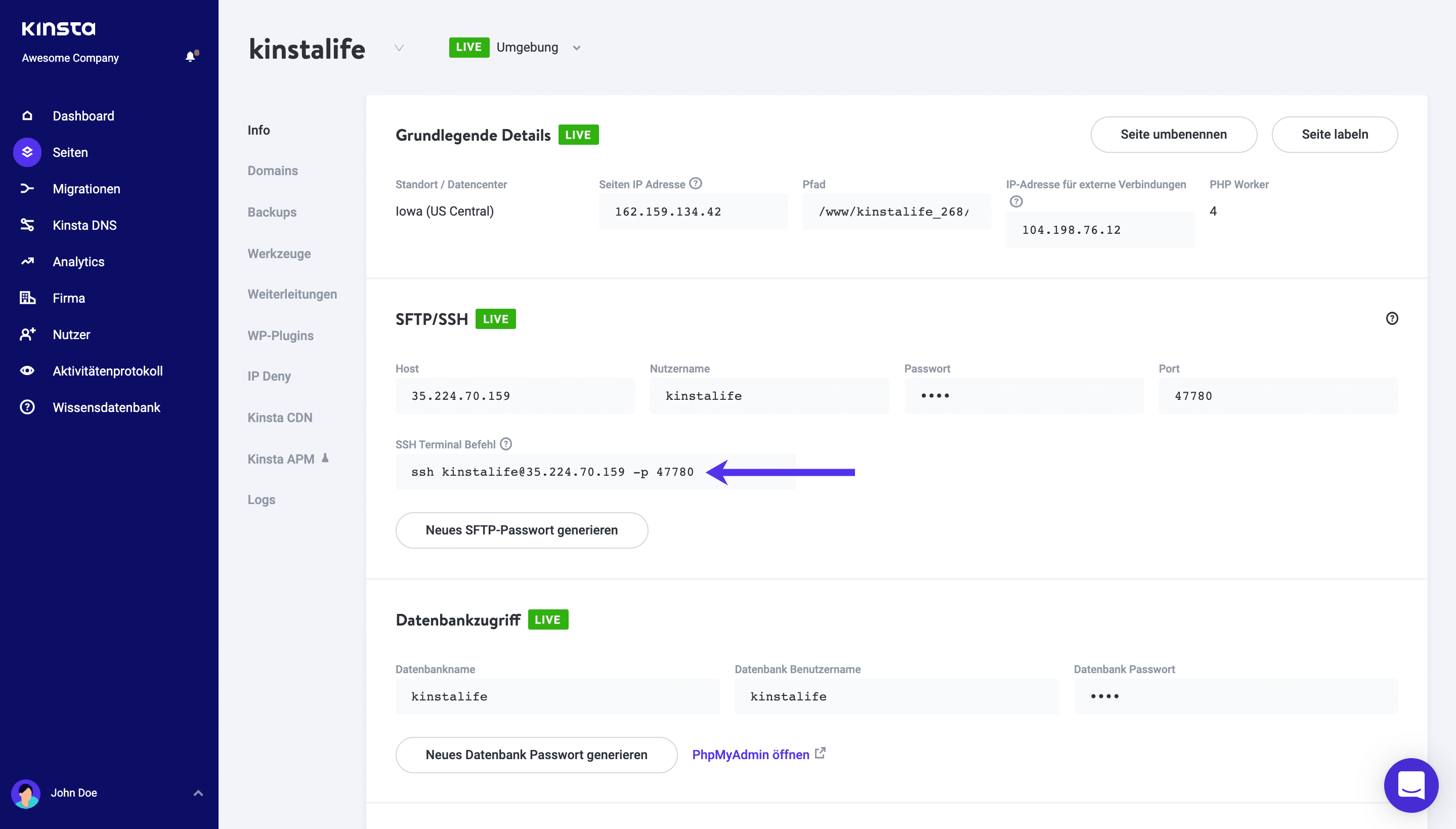 SSH-Terminal-Befehl in MyKinsta.