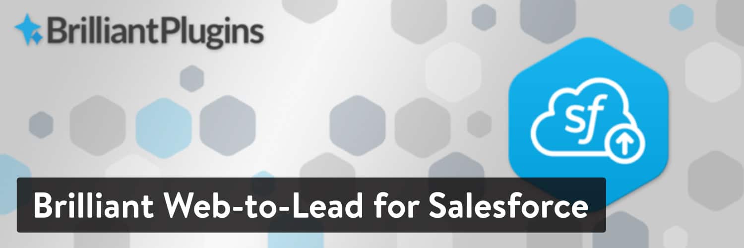 Brillantes Web-to-Lead für Salesforce WordPress-Plugin