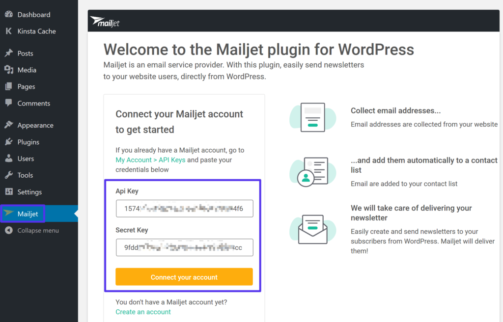 Mailjet API-Key zu den Plugin-Einstellungen hinzufügen