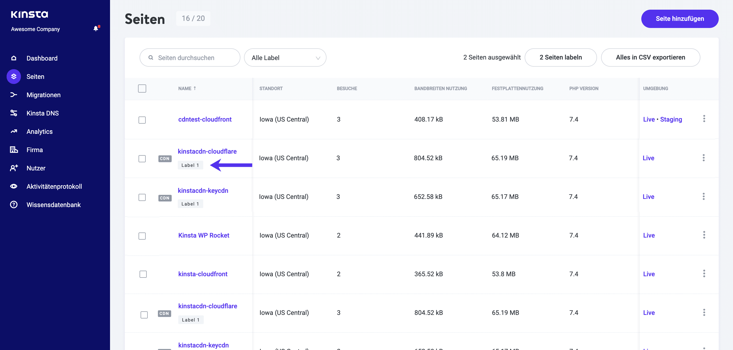 Site-Labels unter den Site-Namen in MyKinsta.