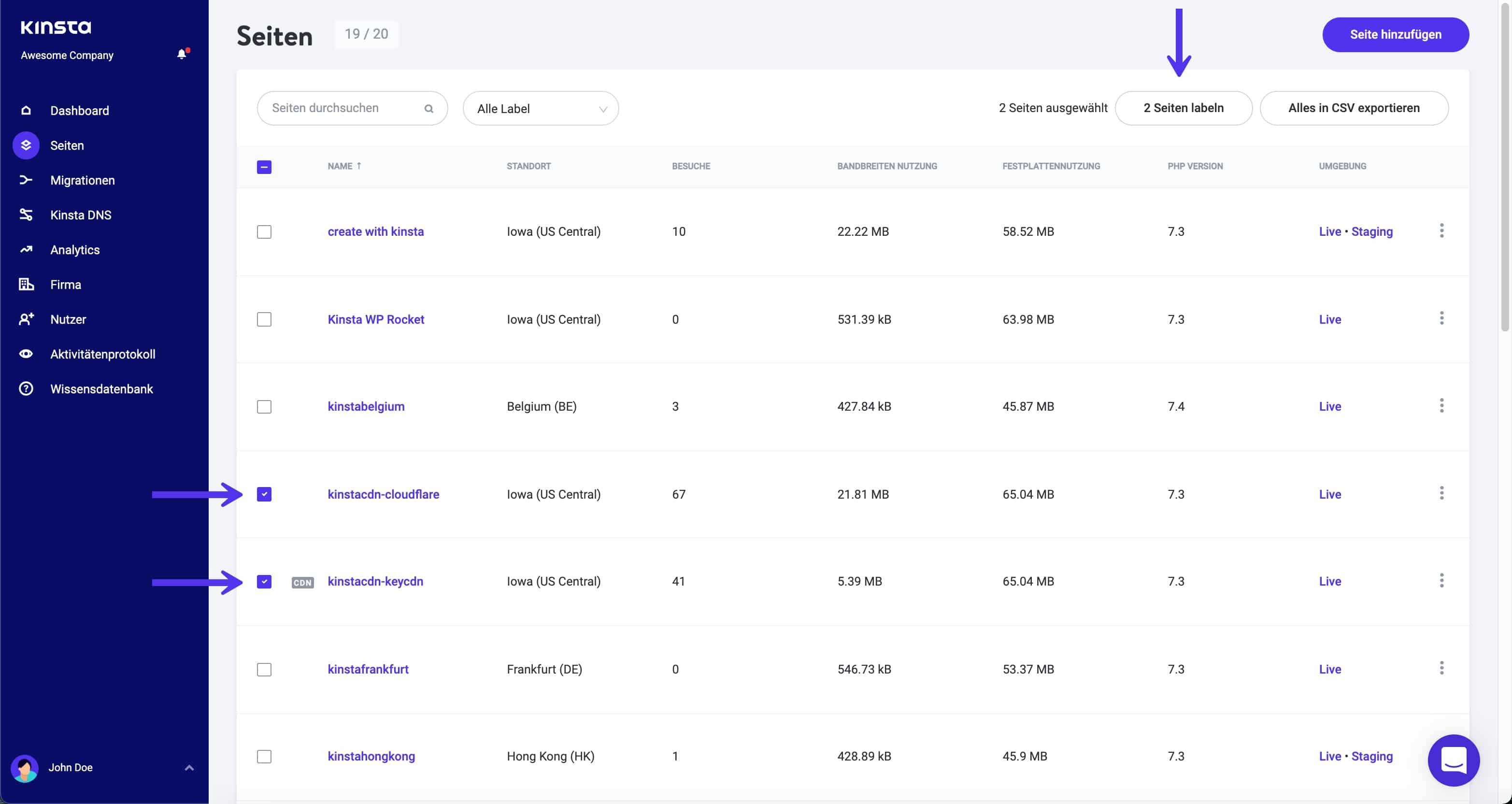 Fügen Sie Labels zu Ihren WordPress-Seiten in MyKinsta hinzu