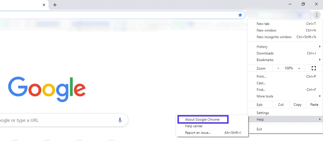 Die Google Chrome About-Sektion