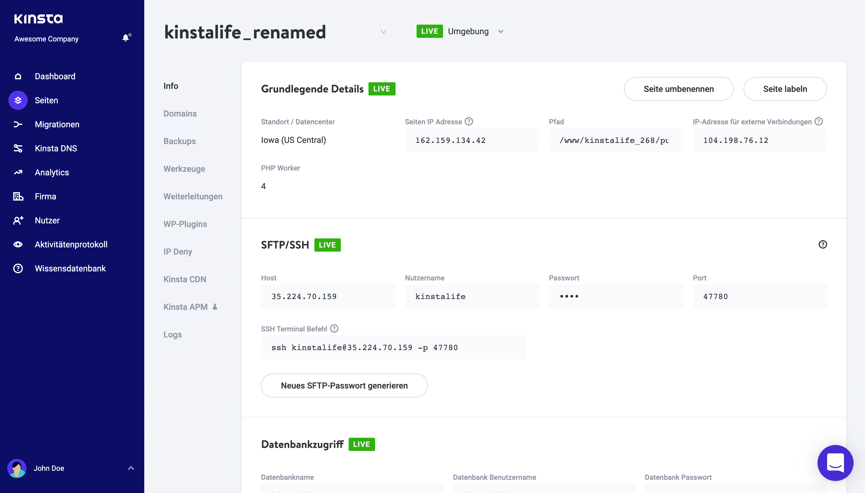 Beispiel einer umbenannten Webseite in MyKinsta.