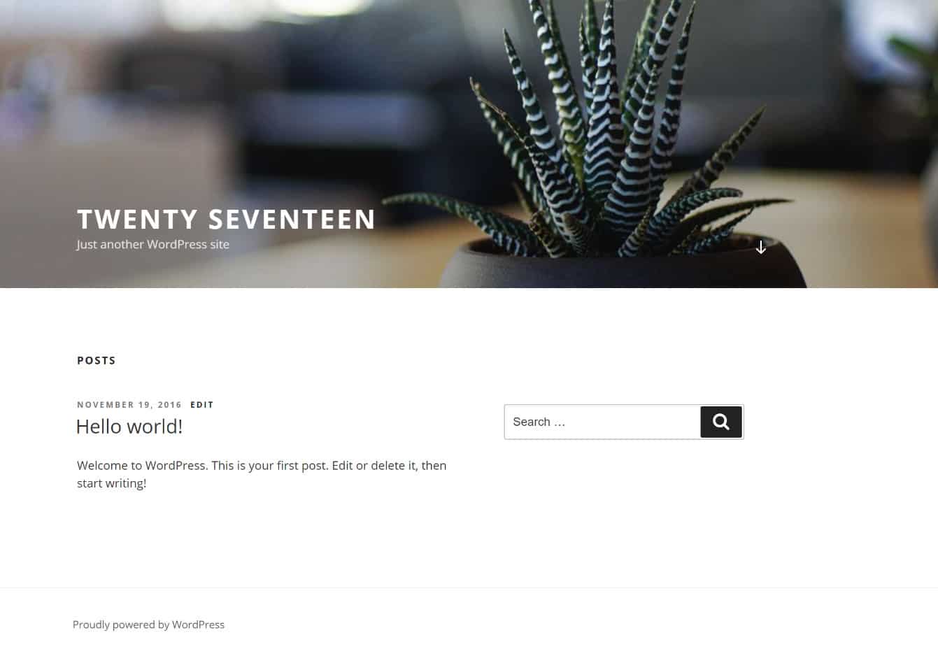 WordPress Twenty Seventeen Theme