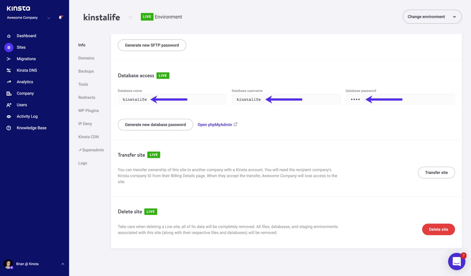 Datenbank Zugangsdaten in MyKinsta