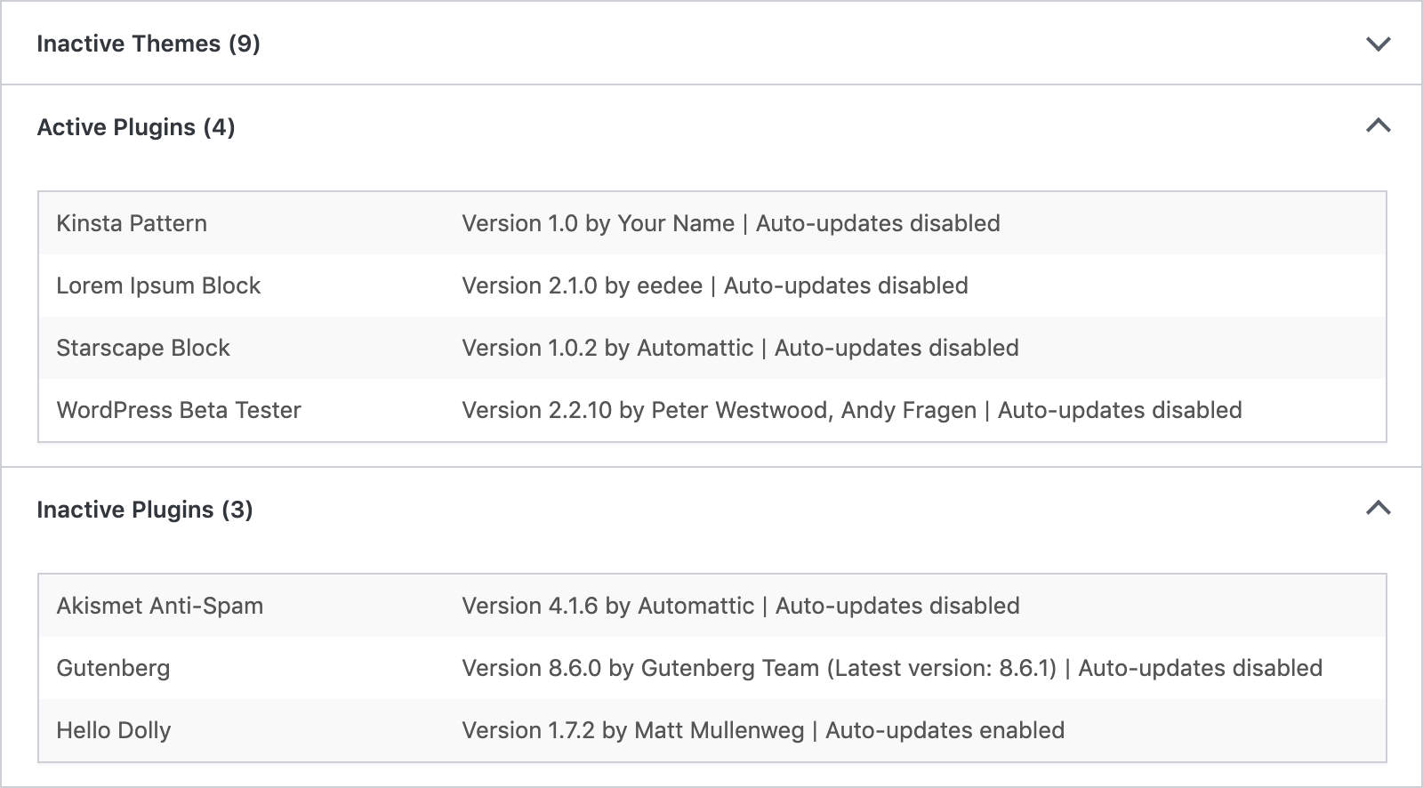 Die Registerkarte "Site Health Info" der Webseite zeigt den Status der automatischen Plugin- und Theme-Auto-Updates