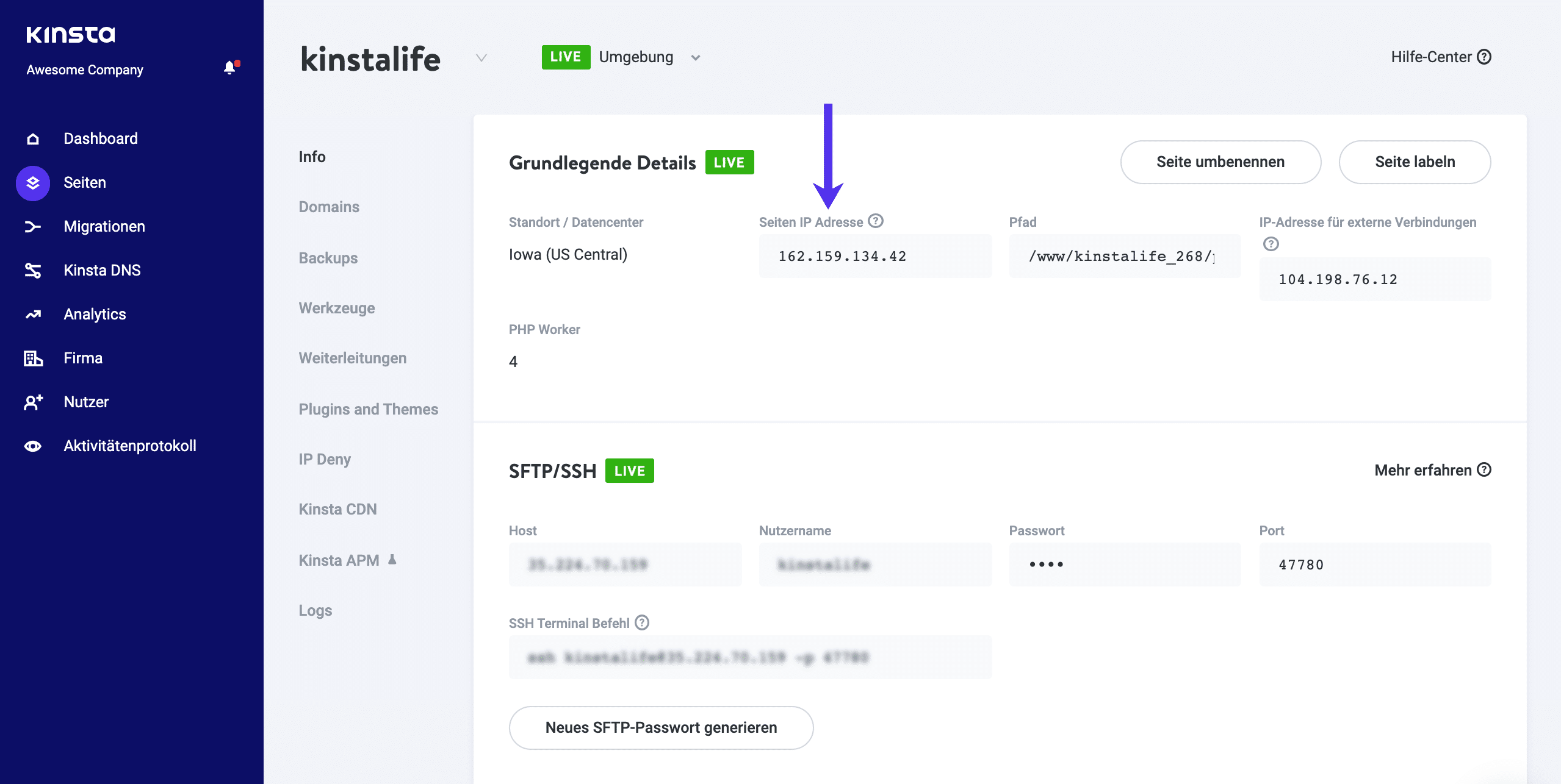 IP-Adresse der WordPress Seite auf MyKinsta