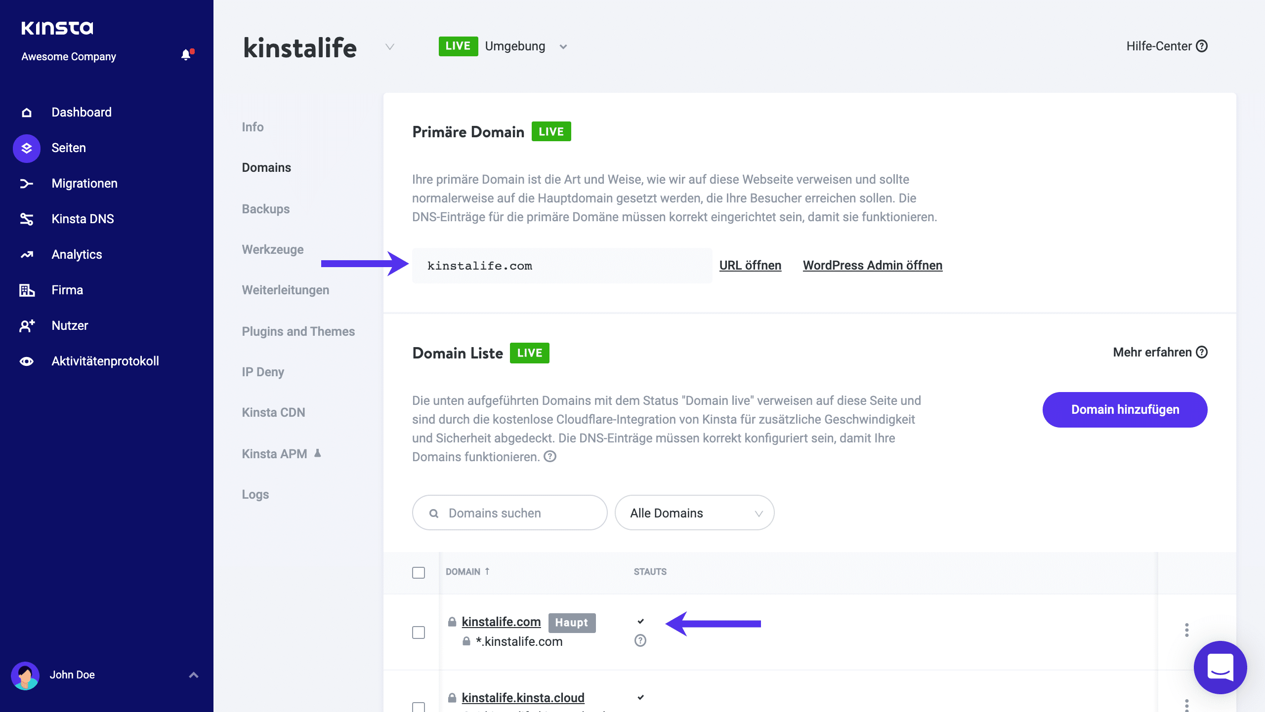 Füge Domains zu deinem MyKinsta Dashboard hinzu.