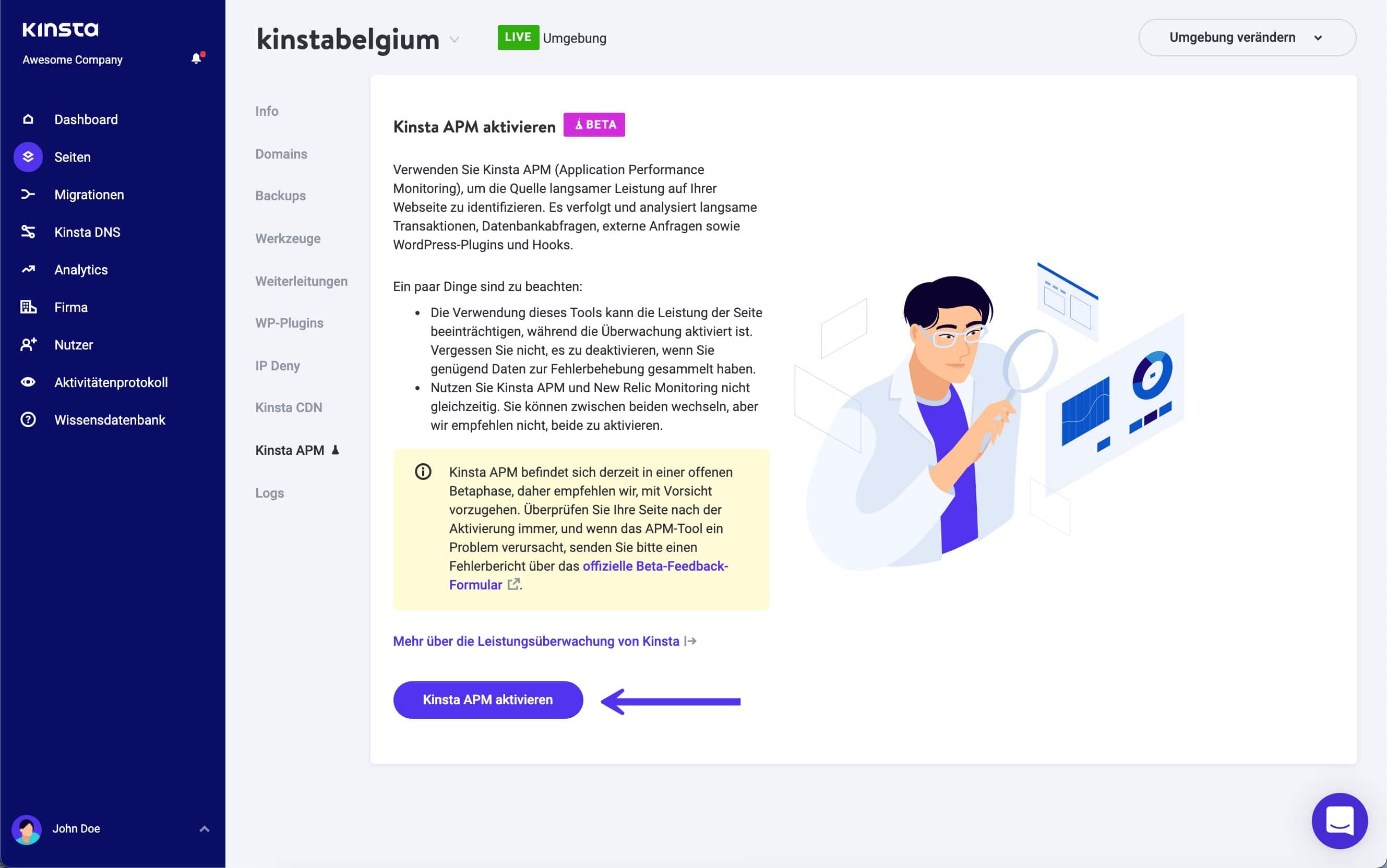 Aktiviere das Kinsta APM-Tool in MyKinsta.